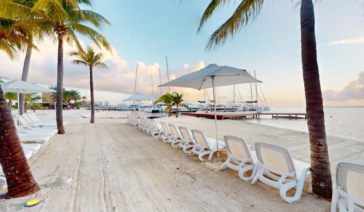 6696deb88aa39768635576